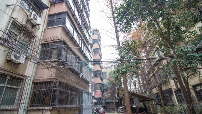 汝河路93号外景图