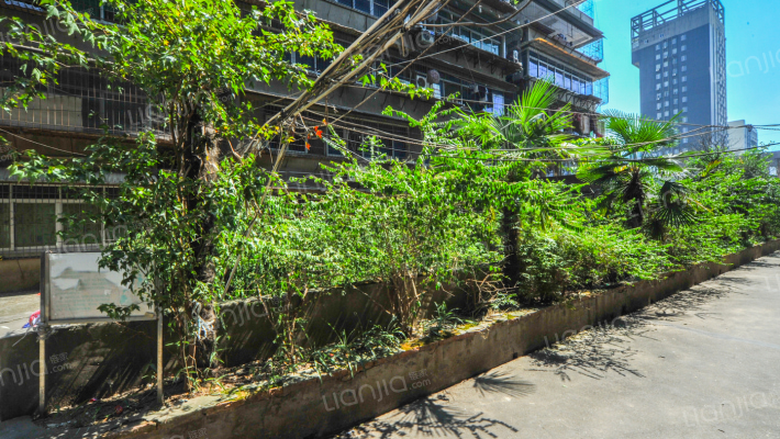 南昌房产>南昌小区>洪城大市场小区>国资大厦1人关注