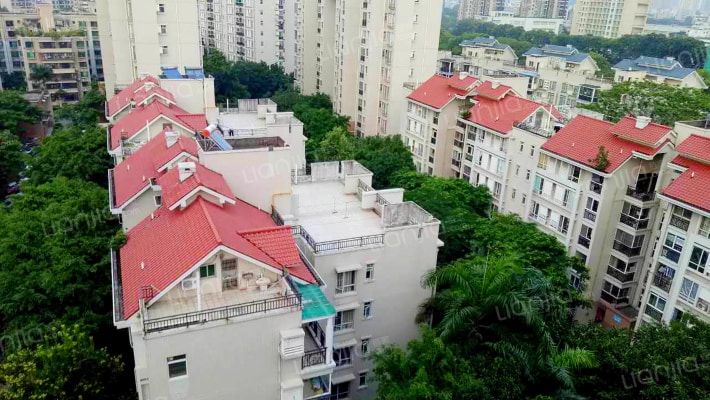 北欧森林外景图