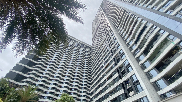 君临海域外景图