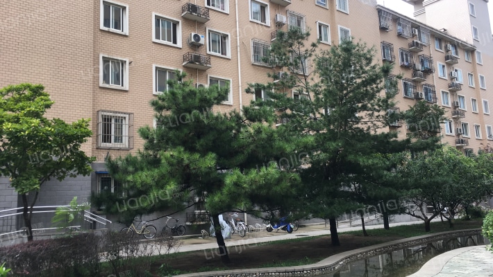 金雅园北区外景图