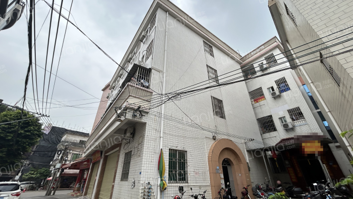 伦教熹涌单家外景图