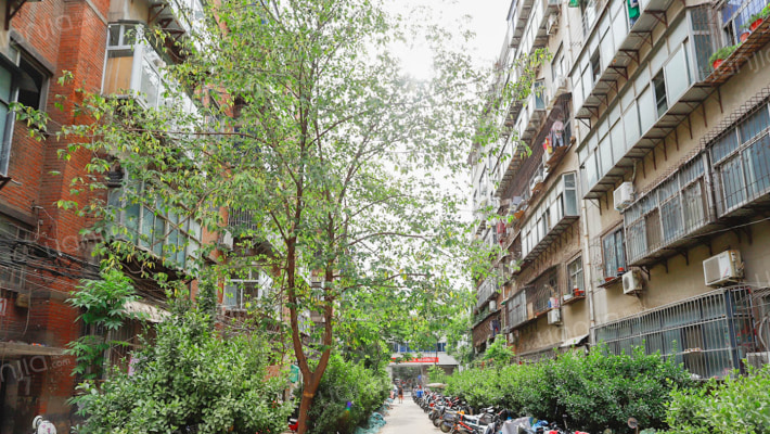 郑州中医院家属院外景图