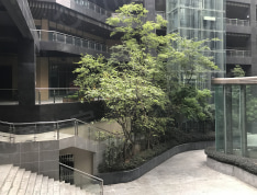 星宸国际实景图