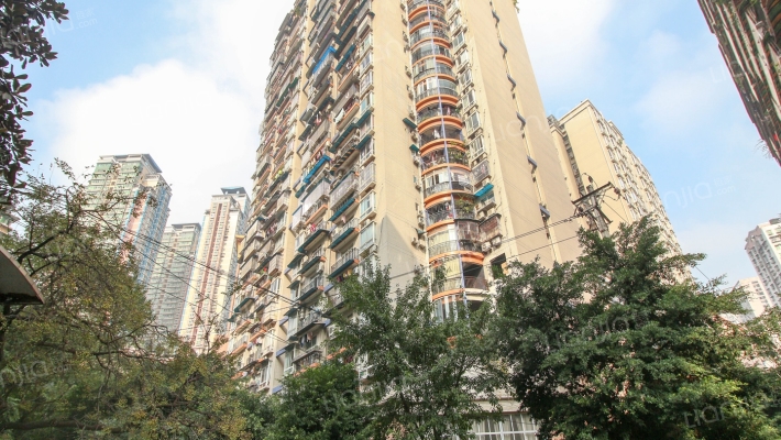 盛世年华外景图