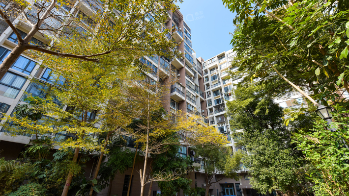 亿力悦海外景图