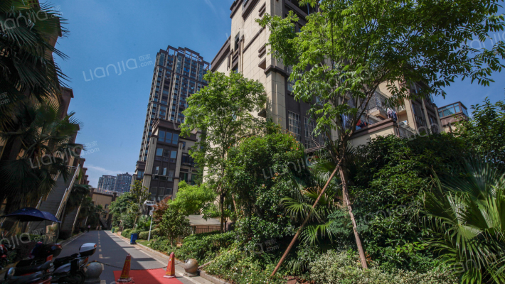 波尔多联邦美树堡小区外景图