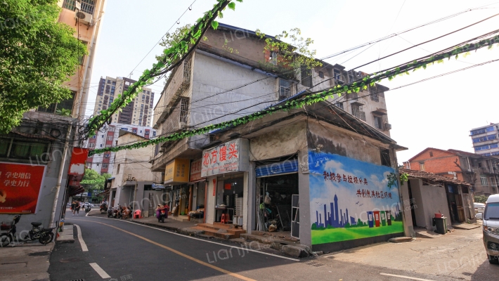 洛阳东路孙家亭段外景图