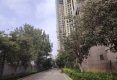 生活·印象户型图实景图