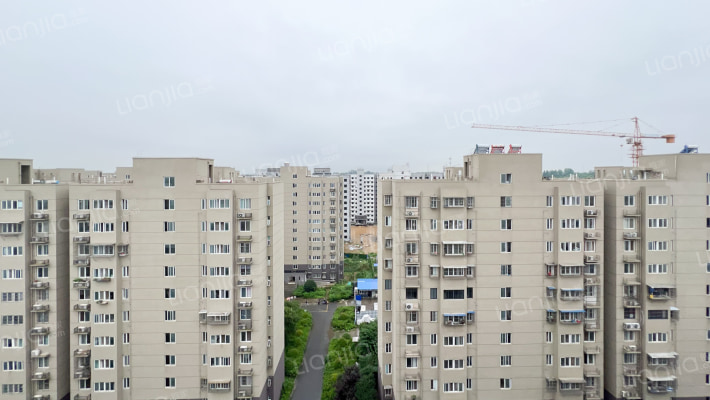 林山雅苑外景图