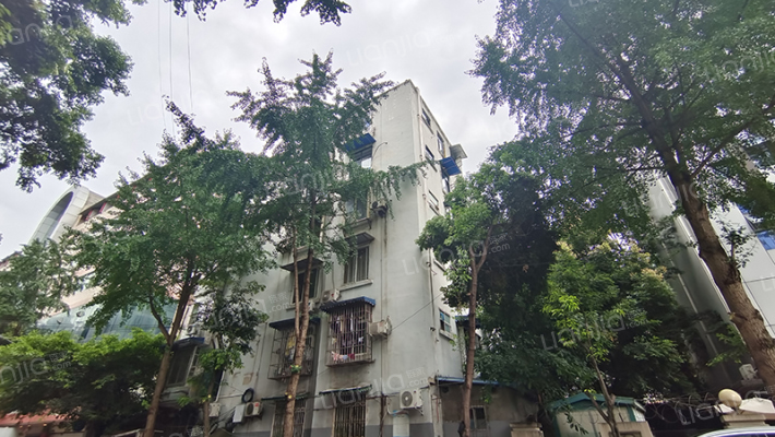 桂王桥西街65号外景图