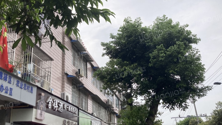 滨河路50号外景图