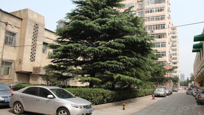 车道沟东里外景图