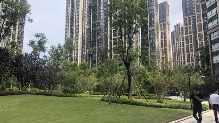 中粮鸿云外景图