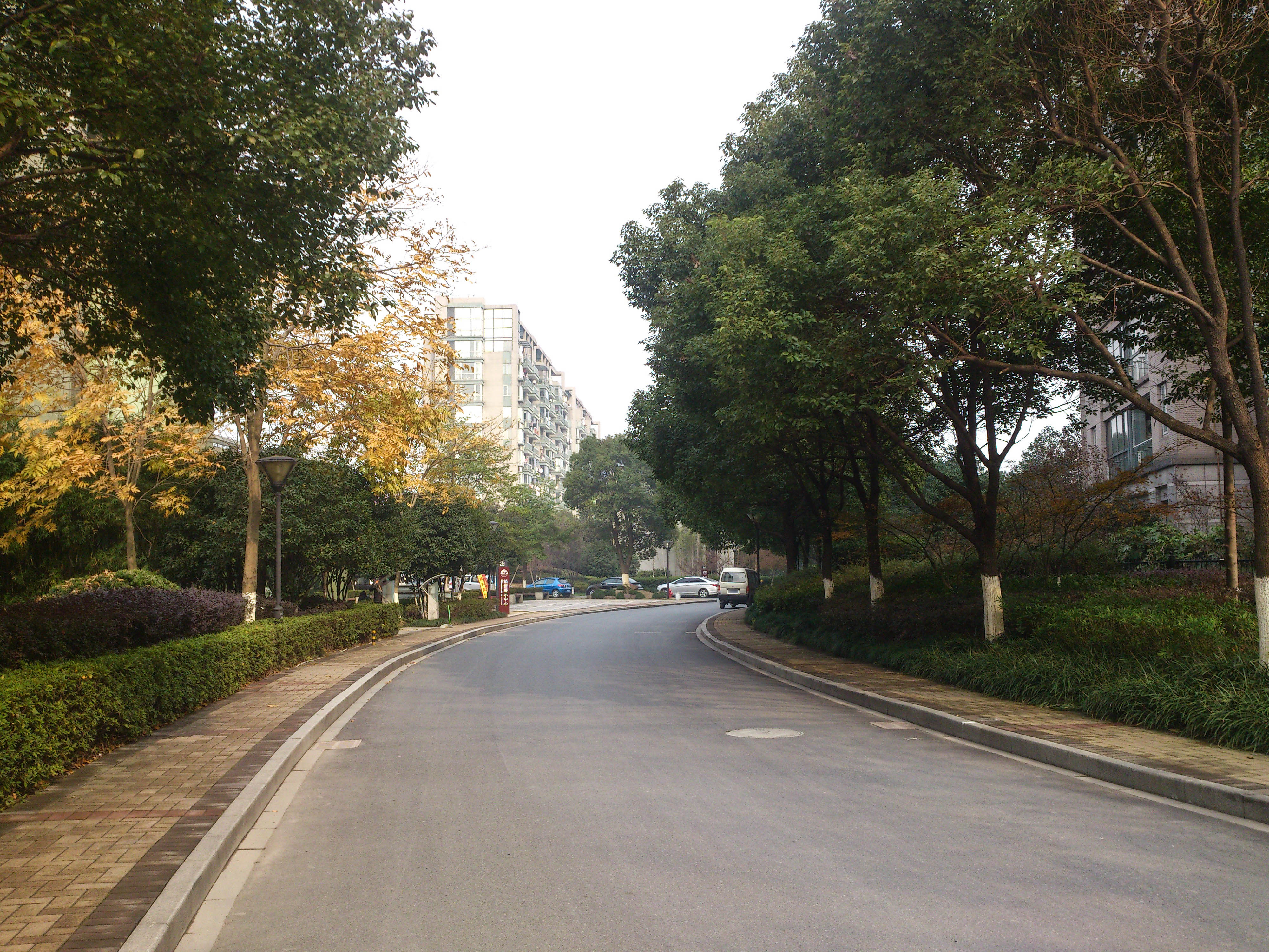 南岸花城小区实景 35