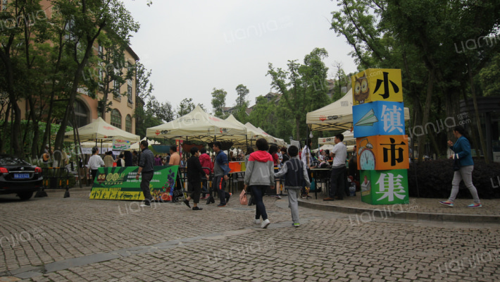 麓山国际帕萨迪纳1组外景图