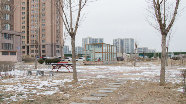 矽谷港湾外景图