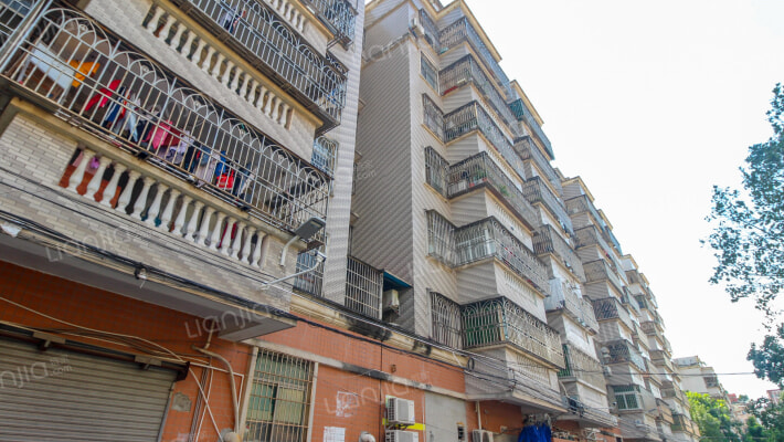 东联大道11号外景图