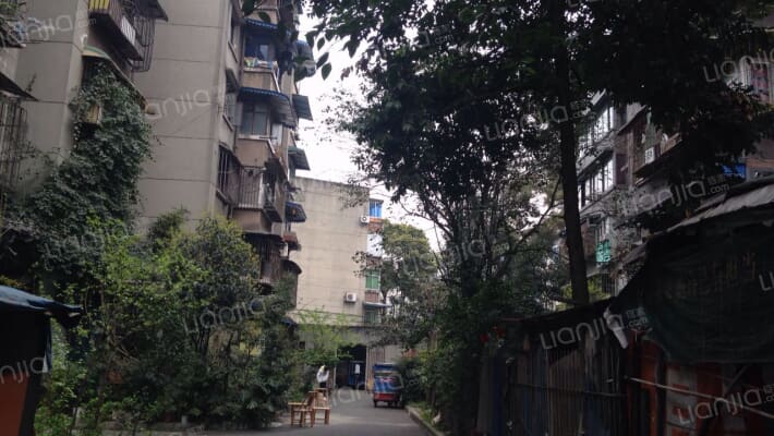 金罗路6号外景图