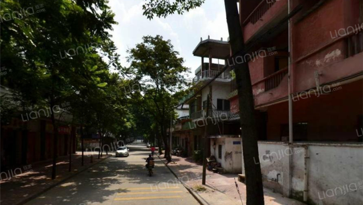 镇南路(南沙)外景图