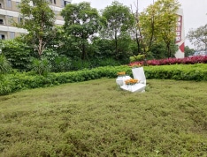 绿地未来城实景图