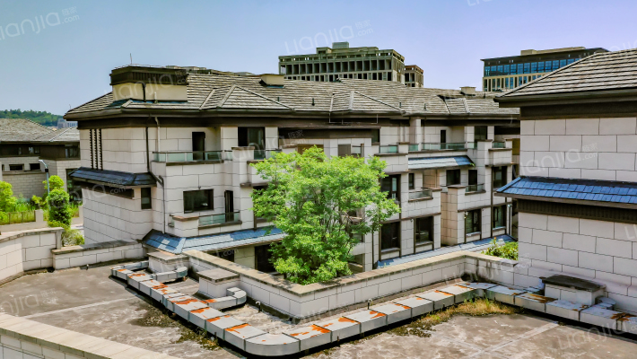 桥达天蓬樾府樱花里外景图