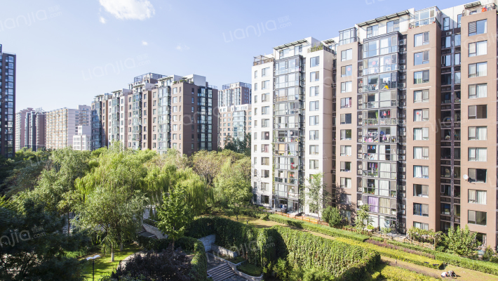 风荷曲苑外景图