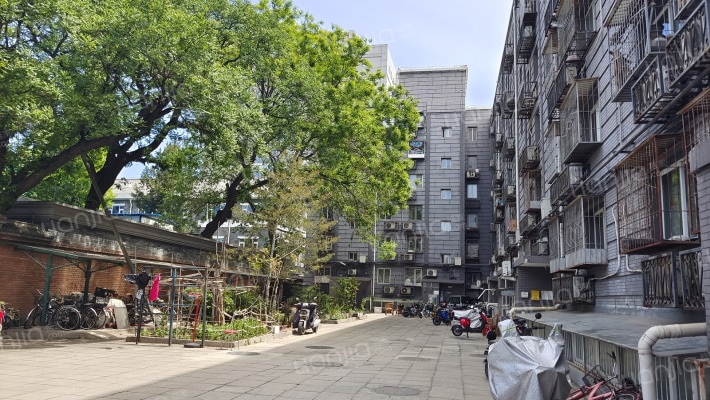 台基厂三条外景图