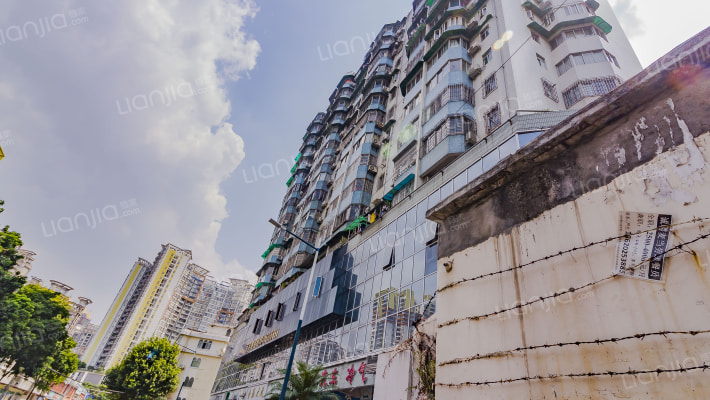 金乐大厦外景图