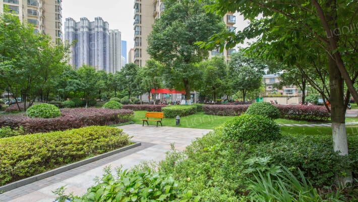 国际城F组团外景图