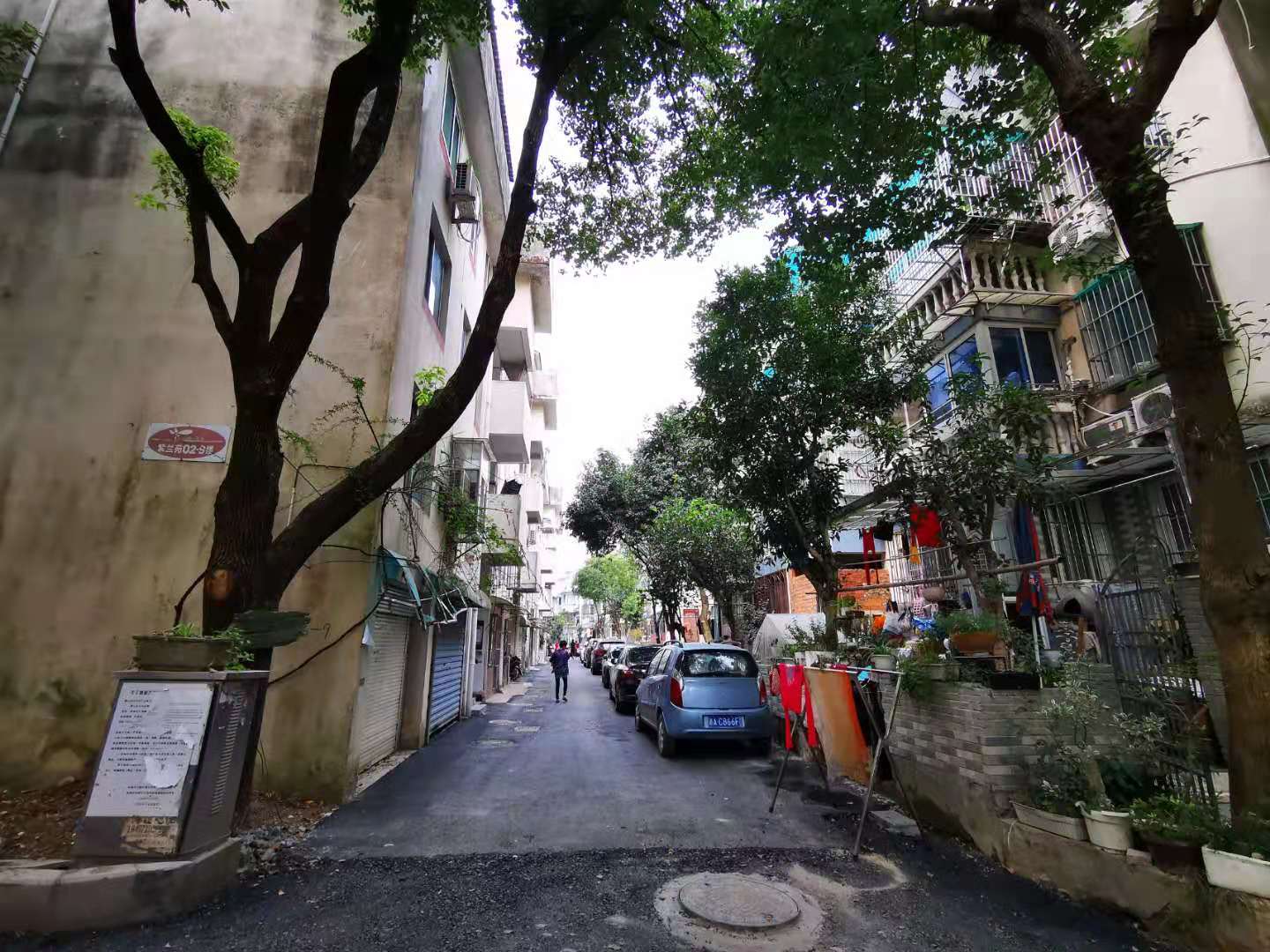 紫云山庄小区实景 10