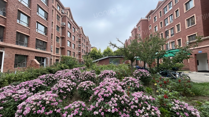 西城逸景外景图