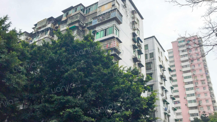 五羊宿舍外景图