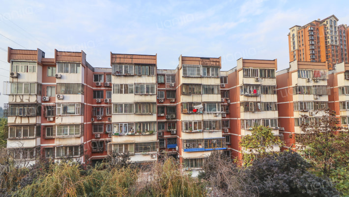 枣园北里外景图