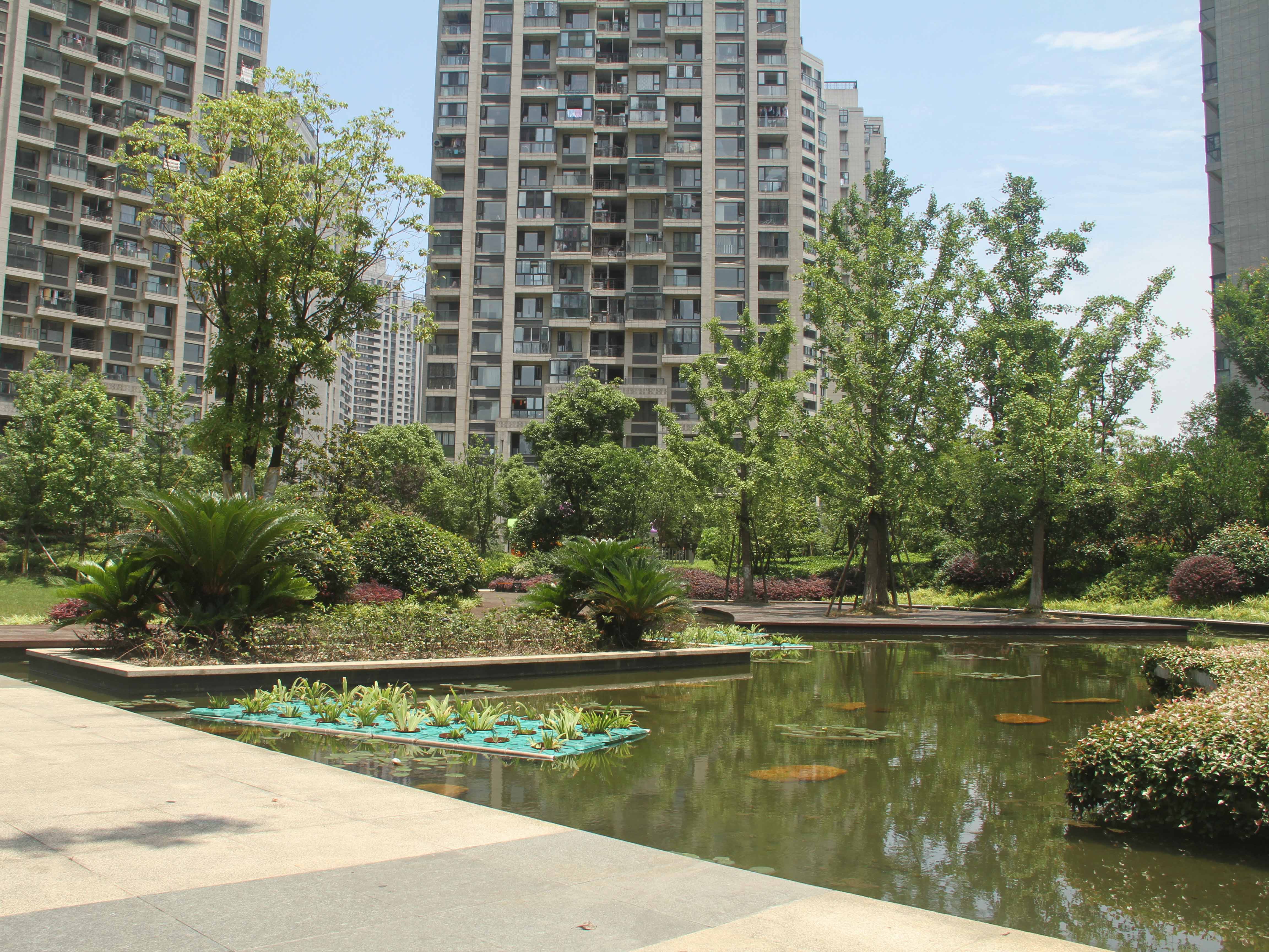 寰宇天下小区实景 8
