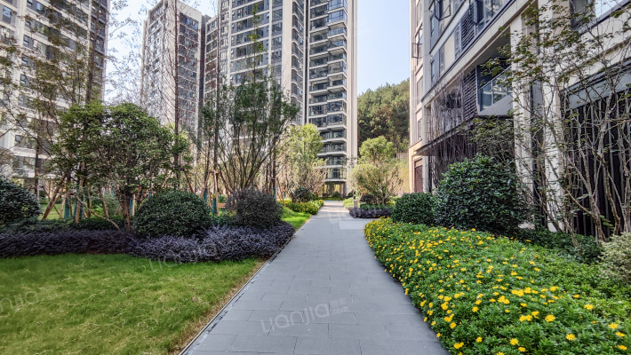 万科·观湖外景图