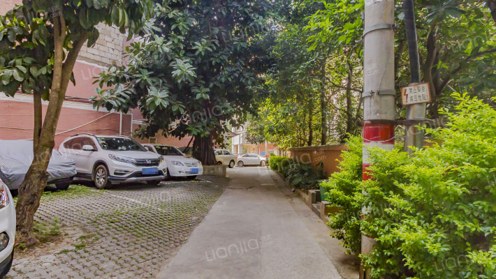 新南方花园外景图