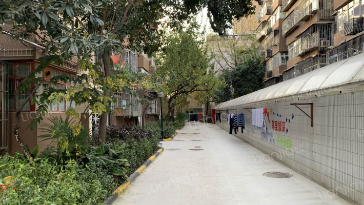 交大附中家属院外景图