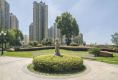 恒大名都户型图实景图