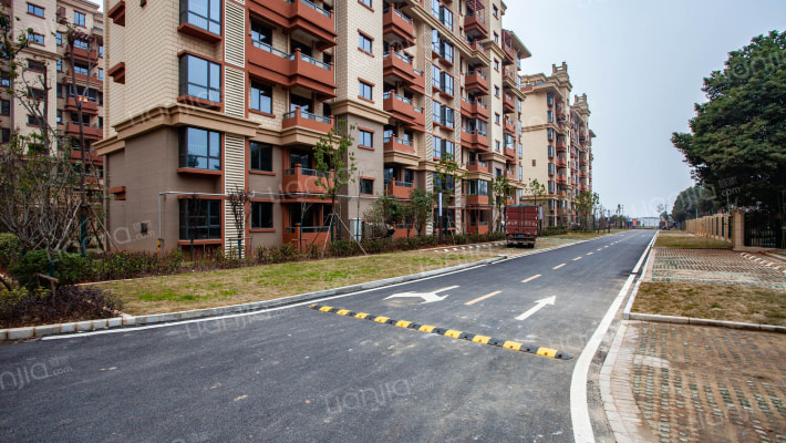 东方雨林外景图