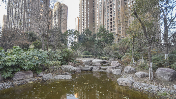 锦艺国际华都美域外景图