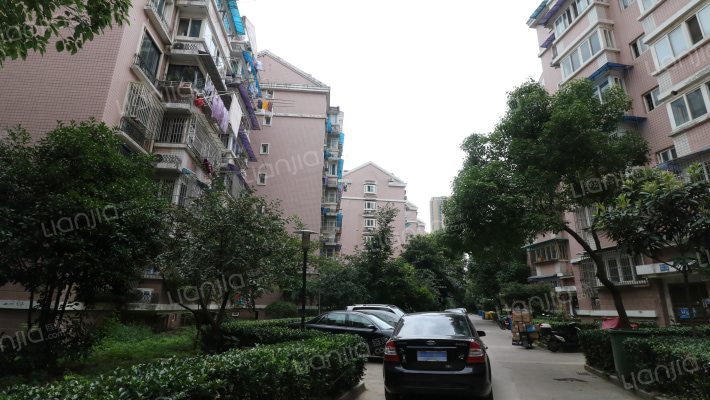 新百花园外景图