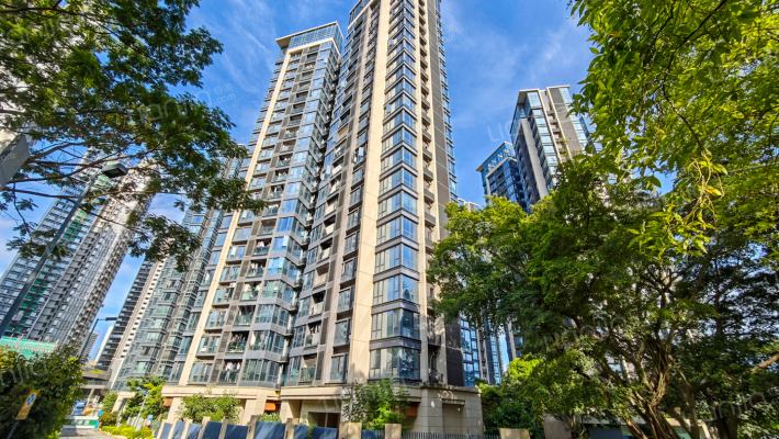 前海丹华外景图