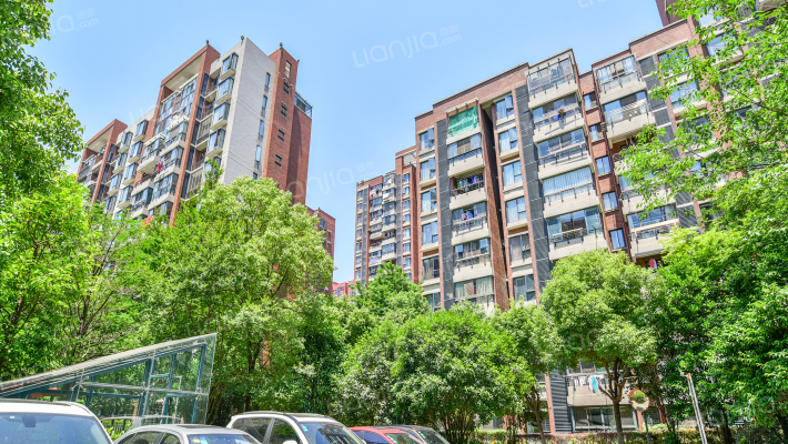 岸上玫瑰外景图