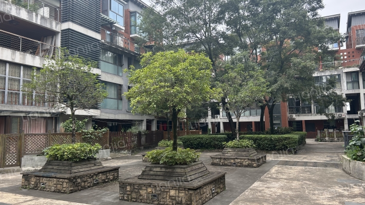 双城维拉小镇外景图