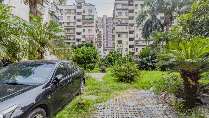 红旗新村北区外景图