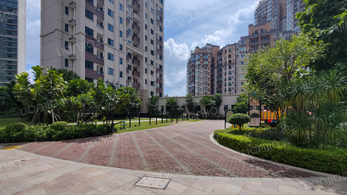 红树东岸外景图