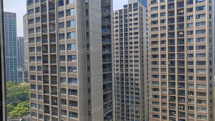 滨江观品外景图