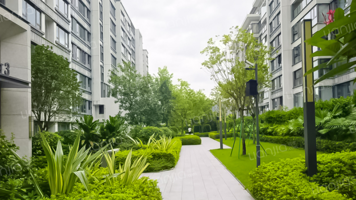 中海十里观澜外景图