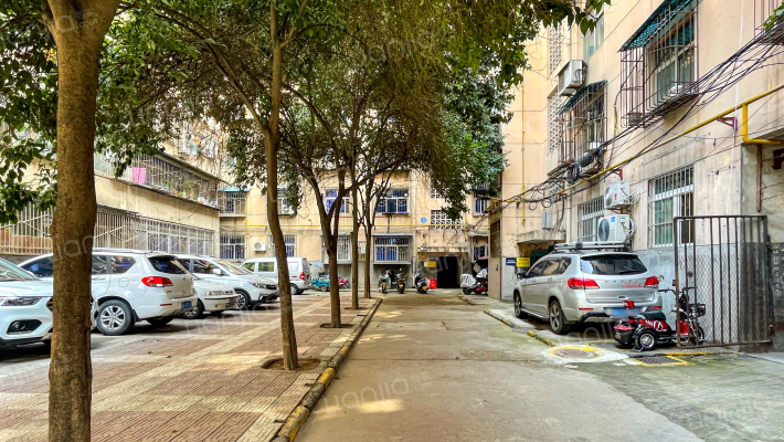 西号巷3号外景图